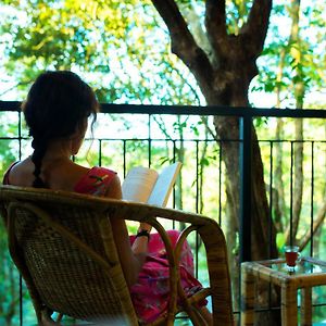 Superior Room Balcony Complimentary house trekking activities