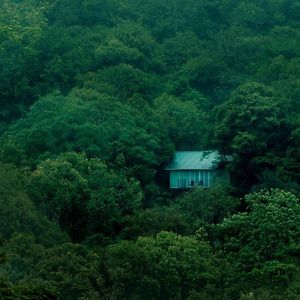 Deluxe Cottage Jacuzzi Complimentary house trekking activities